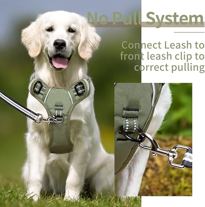 HEELE Dog Harness, Dog Harness for Small Medium Large Dogs No Pull Adjustable Padded Reflective Harness with Handle for Walking Training, Green, S