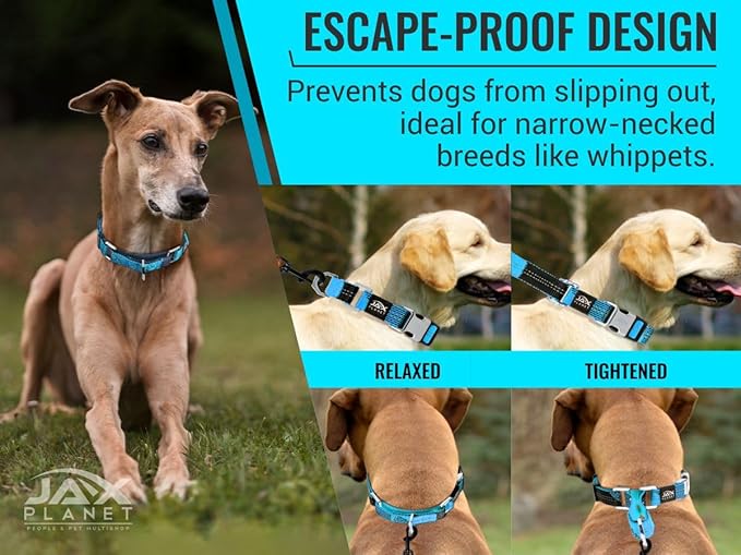 Blue Martingale Collar for Dogs - Heavy Duty Nylon Pet Collars for Escape-Free, No Pull Training & Walking with Alloy Metal Release Buckle & Reflective D Ring, One Time Adjustment, Safe & Secure, L