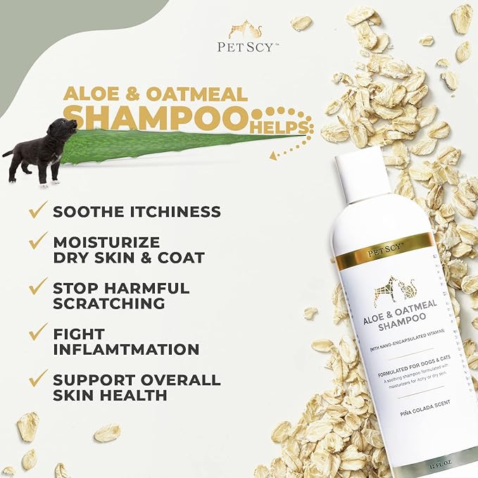 PetScy - Aloe & Oatmeal Shampoo for Dogs and Cats, Moisturizing Pet Shampoo for Skin Relief, All-Natural, Soap-Free & Gentle, Pina Colada Scent, 12 Oz