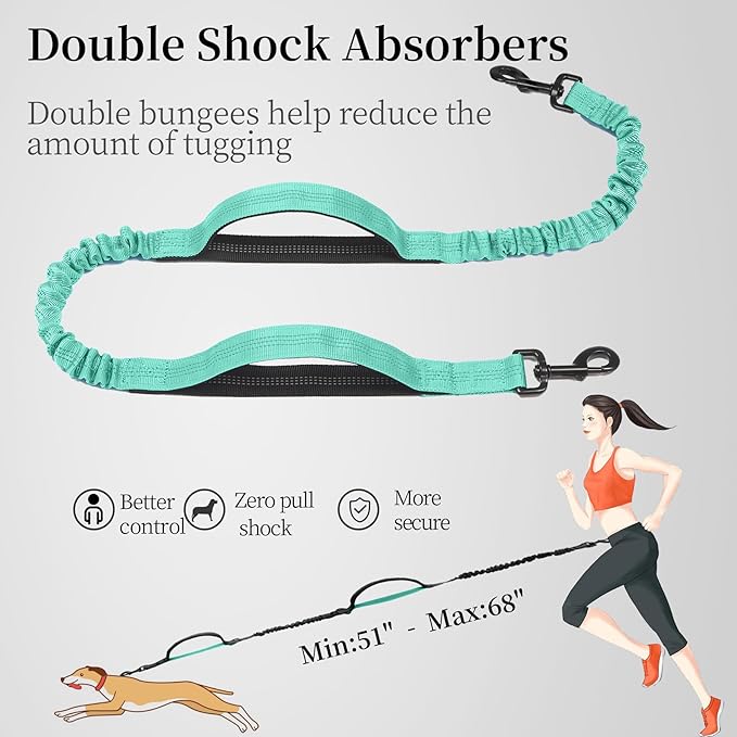 iYoShop Hands Free Dog Leash with Zipper Pouch, Dual Padded Handles and Durable Bungee for Walking, Jogging and Running Your Dog (Large, 25-120 lbs, Teal)