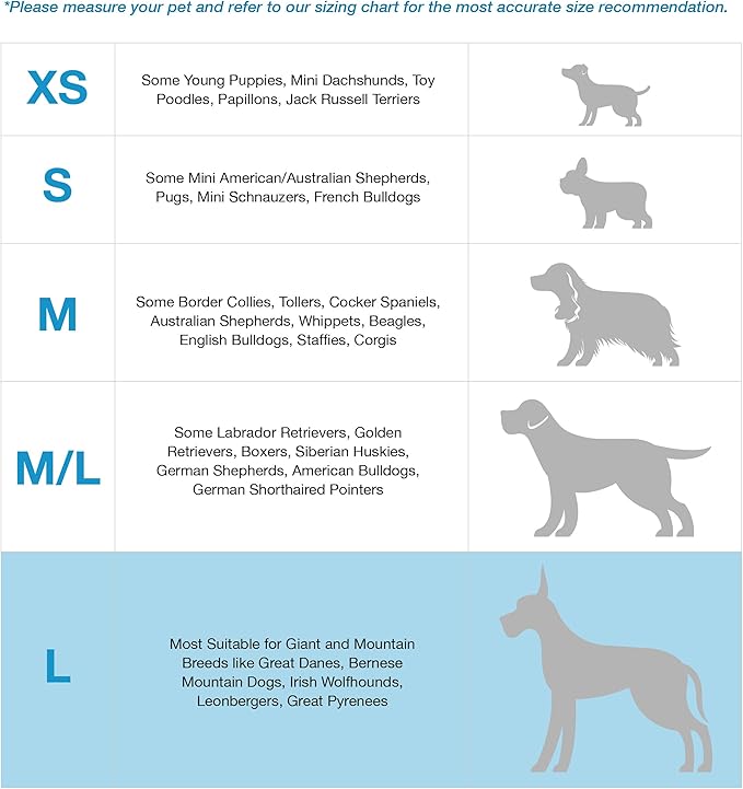 Blue-9 Buckle-Neck Balance Harness, Fully Customizable Fit No-Pull Harness, Ideal for Dog Training and Obedience, Made in The USA, Sky Blue, Large