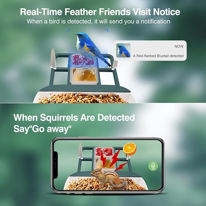 Bird Feeder with Camera,Smart Watching Birds,AI Identify Species with Solar Panel,Auto Record 2K HD Capture Video Live,2L Large Capacity,Ideal Gifts for BirdLover (Green+64G Card)