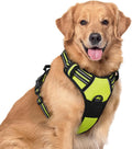 rabbitgoo Dog Harness No Pull with 2 Leash Clips, Adjustable Soft Padded, Reflective Oxford No Choke Pet Vest with Easy Control Handle for Large Dogs, Green, XL