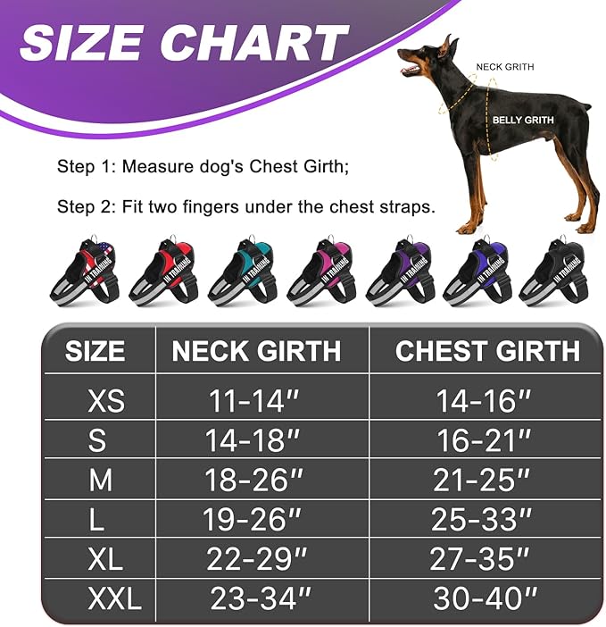 Essential Dog Harness with 3 Leash Clips - No-Pull, Adjustable, Comfortable Pet Vest Harness for Small to Large Dogs - Easy On, No Choke, Reflective, Padded Harness for Walking and Training