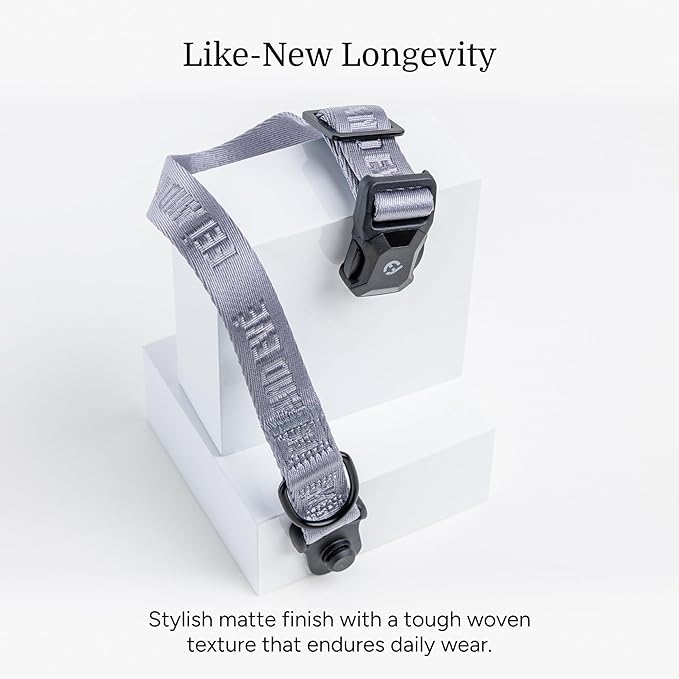 2025 New Edition, Fei & Eve MagEase Dog Collar - Patented Magnetic Buckles | Fur-Safe | Premium 210D Nylon | 450LB Escape-Proof | Adjustable Fit | Small (Twilight Gray)