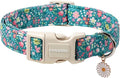 DOGWONG Blue Flower Dog Collar, Purple Daisy Dog Collar Adjustable Soft Fabric Girl Pet Dog Collars Cute Puppy Necklace for Small Medium Large Dogs