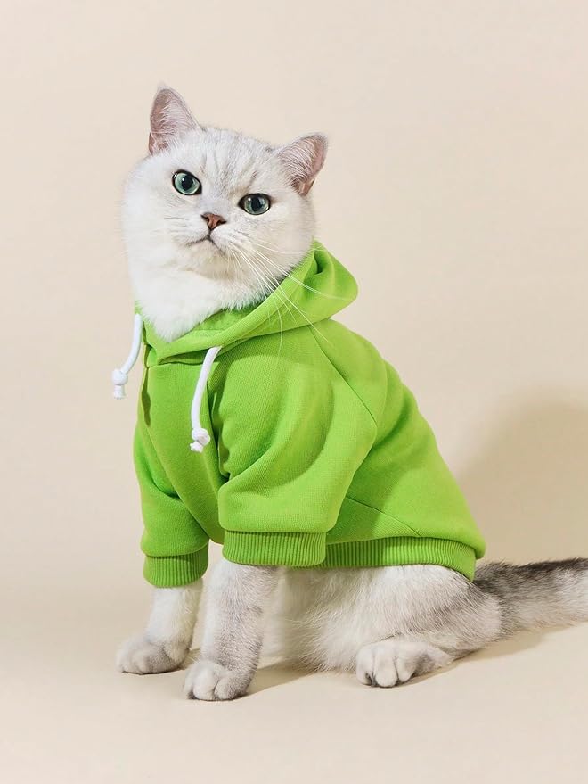 QWINEE Basic Dog Hoodie Sweatshirt Puppy Sweater Warm Cat Costumes Pet Clothes for Chihuahua Puppy Kitten Small Medium Dogs Green Large