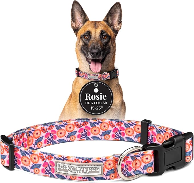Lucky Love Dog - Adjustable Dog Collar with Easy Click Buckle for Small to Large Ones, Durable, & Comfortable for Male & Female Dogs, Pet Collar for Puppies & Adult Dogs - Rosie, Large