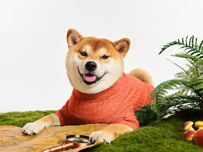 Dog Turtleneck Knitted Shirt Stretchy Pullover Sweater Winter Warm Puppy Clothes for Small Medium Dogs