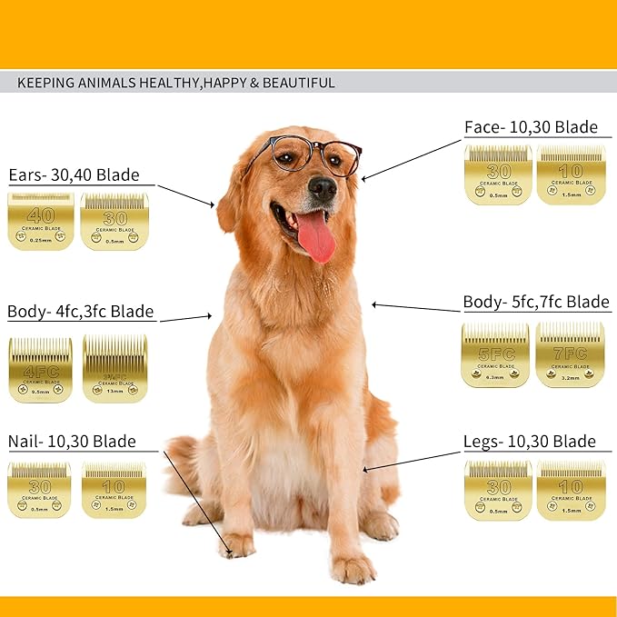 Detachable Pet Dog Grooming Clipper Ceramic Blades Set,Compatible with Andis,Oster A5,Wahl KM10 Series Clippers,Size 7FC/5FC/4FC/3FC 4 Pack,Gold