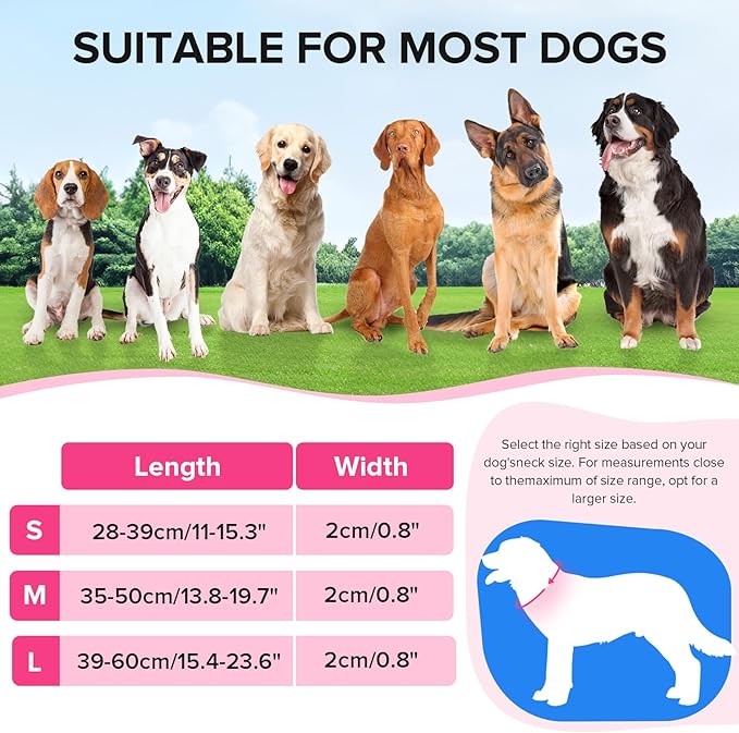 Light Up Dog Collar, Adjustable USB Rechargeable Glow in Dark Dog Collar ，Waterproof Dog Collars for Small Dogs (Pink, Small)