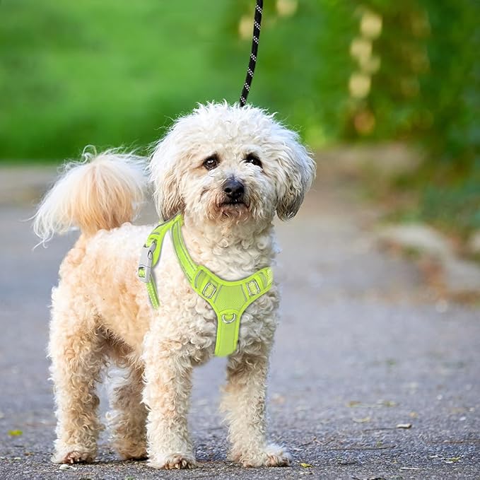 BARKBAY No Pull Dog Harness Large Reflective Dog Harness with Front Clip and Easy Control Handle for Walking Training Running with ID tag Pocket(Sunlight,S)