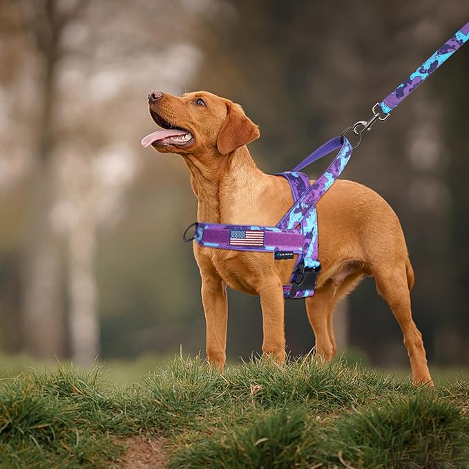 Annchwool No Pull Dog Harness with Padded Handle+5 Ft Leash,Escape Proof and Quick Fit to Adjust Dog Harness,Easy for Training Walking for Small & Medium and Large Dogs(Camo Purple Set,XL)