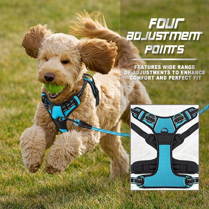 BARKBAY No Pull Dog Harness Front Clip Heavy Duty Reflective Easy Control Handle for Large Dog Walking(Blue,XS)
