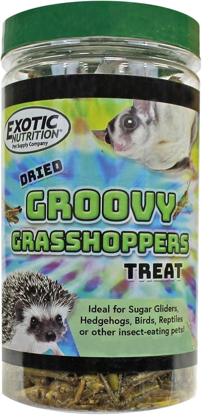 Groovy Grasshoppers - All Natural Healthy High Protein Insect Treat - Chickens, Birds, Hedgehogs, Bluebirds, Reptiles, Sugar Gliders, Opossums, Skunks, Lizards, Fish, Turtles, Amphibians (1.4 oz)