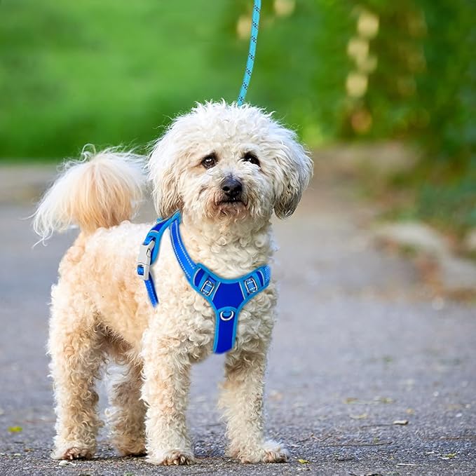 BARKBAY No Pull Dog Harness Large Reflective Dog Harness with Front Clip and Easy Control Handle for Walking Training Running with ID tag Pocket(Sapphire Blue & Blue,S)