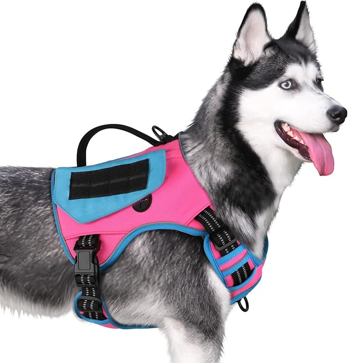 WINGOIN Tactical Dog Harness for Small Dogs, No Pull Harness with Handle Pockets Poop Bag, Reflective Dog Vest, Military Service Heavy Duty Big Dog Harness for Walking Hiking Training (Pink Blue, S)