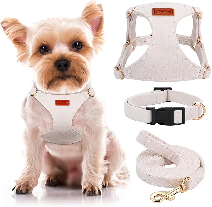 No Pull Dog Harness- Lightweight, Soft, Adjustable Small Harness Collar and Leash Set, Suitable for Cats Puppy Small and Medium-Sized Dog Outdoor Training and Running (Beige, XXS)