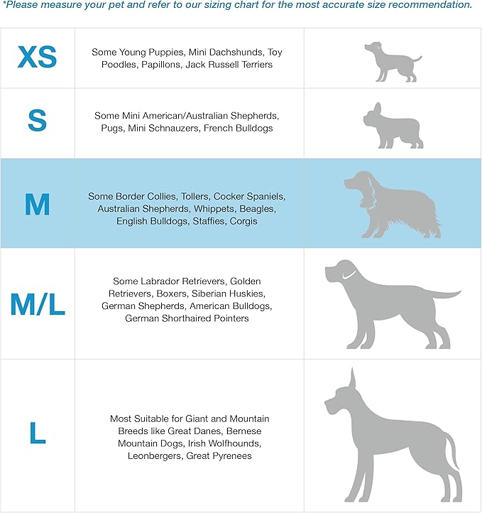 Blue-9 Buckle-Neck Balance Harness, Fully Customizable Fit No-Pull Harness, Ideal for Dog Training and Obedience, Made in The USA, Hot Pink, Medium