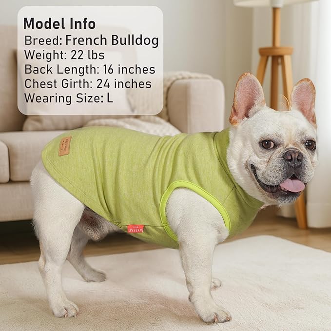 KYEESE 2Pack Dog Sweater Stretchy Dogs Clothes Soft Dachshund Clothes Warm Pet Coats Dog Sweaters for Small Dogs Male Turtleneck Small Pet Sweaters Pullover Pets Sweatshirt