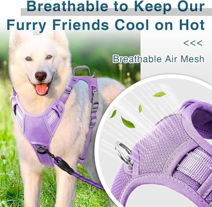 BARKBAY Dog Harness No Pull with ID Tag Pocket - Heavy Duty, Reflective, Easy Control for Small Dogs(Violet Purple,S)