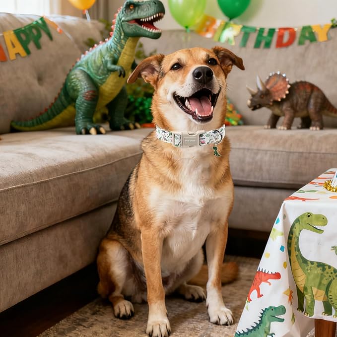 DOGWONG Dinosaur Dog Collar-Cute Dog Collar Adjustable Comfortable Cotton Boy Dog Collars for Small Medium Large Dogs, Medium