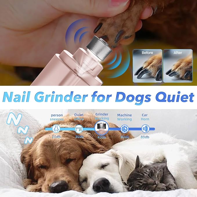 2 in 1 Dog Nail Clippers and Grinder with Lights & Cat Nail Clipper for Large Medium Small Dogs Cats Nail Trimmers USB Rechargeable with 2 LED Lights Dog Claw Care for Non-Black Nails