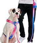 Spark Paws No Pull Dog Harness for Large Dogs, Heavy Duty Dog Harness for Big Strong Breeds, Adjustable, Y Shaped Padded Halter Design with Front Clip - Snow Cone - Medium