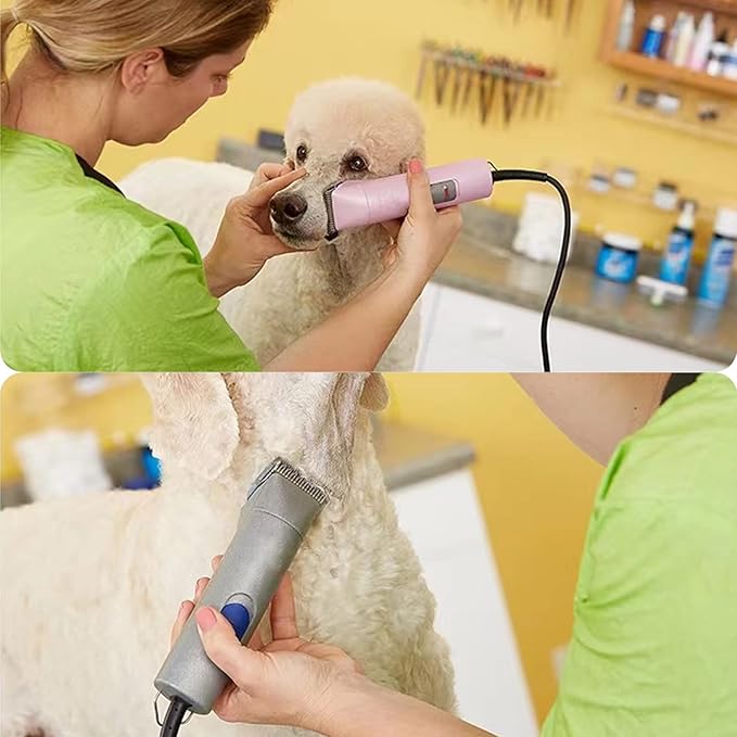 2 Packs #40 Clipper Blade Dog Grooming Compatible with Andis Clippers Carbon Infused Steel Detachable Ceramic Sharp Edge Also Compatible with Wahl/Oster Dog Clippers 1/100" 0.25mm Cut Length(Gold)