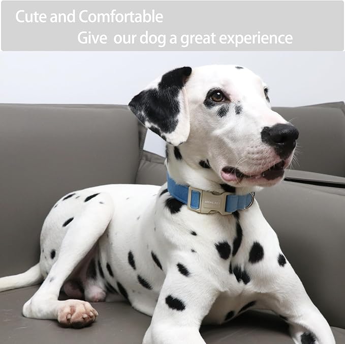 ARING PET Dog Collar-Adjustable Cotton Small Dog Collars, Lightweight Comfortable Blue Pet Collars with Quick Release Buckle for Small Medium Large Dog