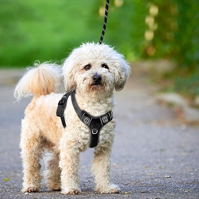 BARKBAY No Pull Dog Harness Large Reflective Dog Harness with Front Clip and Easy Control Handle for Walking Training Running with ID tag Pocket(Black,XS)