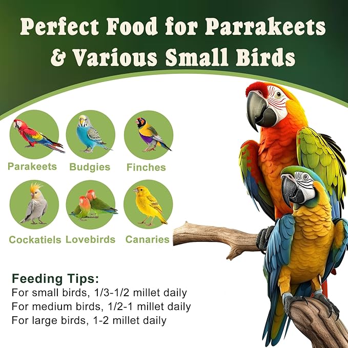RANZ 5LBS Millet Spray for Birds, GMO-Free, Sun Dried Spray Millet, Original Bird Treats & Supplement for Parrots, Cockatiels, Lovebirds, Painted Buntings and Finches, Parakeets Food