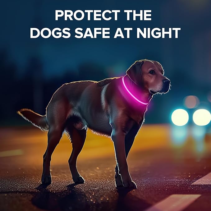 Light Up Dog Collar, Adjustable USB Rechargeable Glow in Dark Dog Collar ，Waterproof Dog Collars for Small Dogs (Pink, Small)