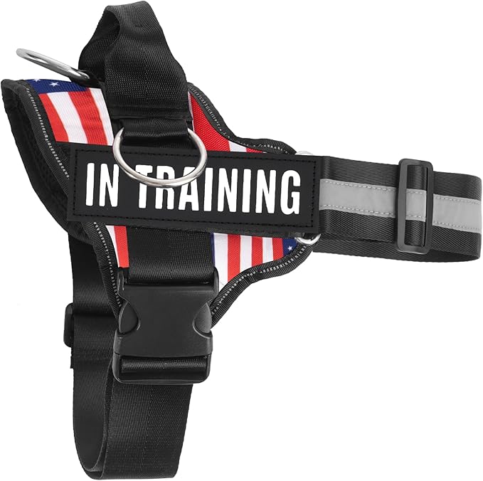 Essential Dog Harness with 3 Leash Clips - No-Pull, Adjustable, Comfortable Pet Vest Harness for Small to Large Dogs - Easy On, No Choke, Reflective, Padded Harness for Walking and Training