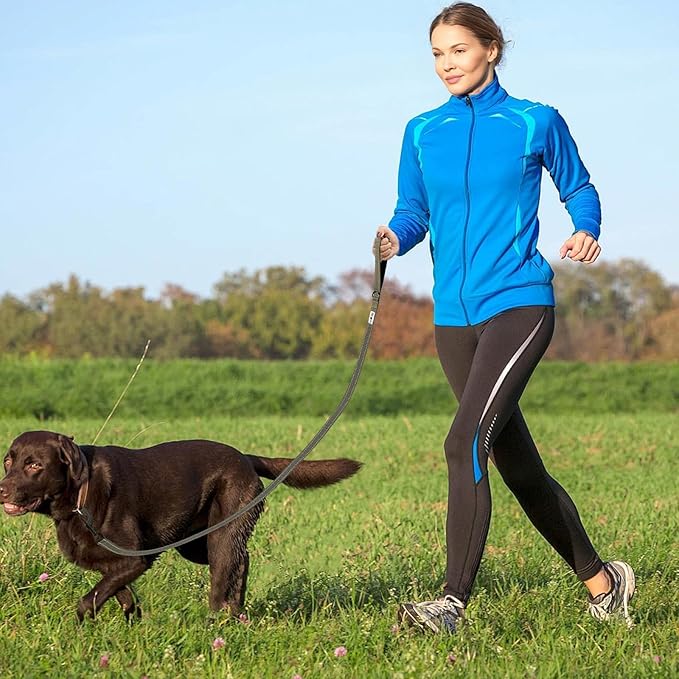 Dog Leash- 6 FT Leashes for Small to Large Dogs, Double Handle Dog Leash, Reflective Walking Training Lead (Dog Leash (Green), 6 FT Dog Leash)