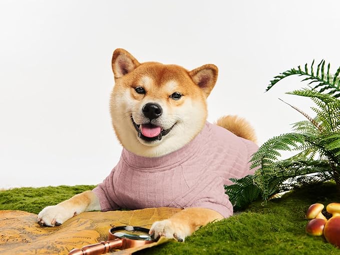 Dog Turtleneck Knitted Shirt Stretchy Pullover Sweater Winter Warm Puppy Clothes for Small Medium Dogs