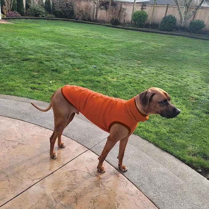 Sweatshirt for Vizsla/Weimaraner/Poodle/Dalmatian/German Dog, Reflective Sleeveless Warm Cotton Clothes for Big Dogs (Orange, XX-Large(Chest 29'', Back 24.5''))