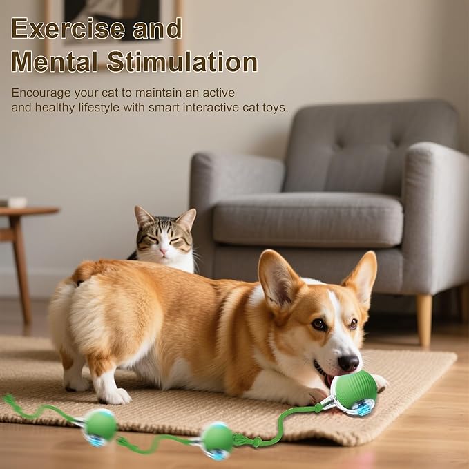 Interactive Cat Toy, 2025 New Interactive Rolling Cats Dog Toy Balls 360° Smart Automatic Rolling Pet Ball, Fast Moving Toy for Dog,Cat Ball Toy(Geen)