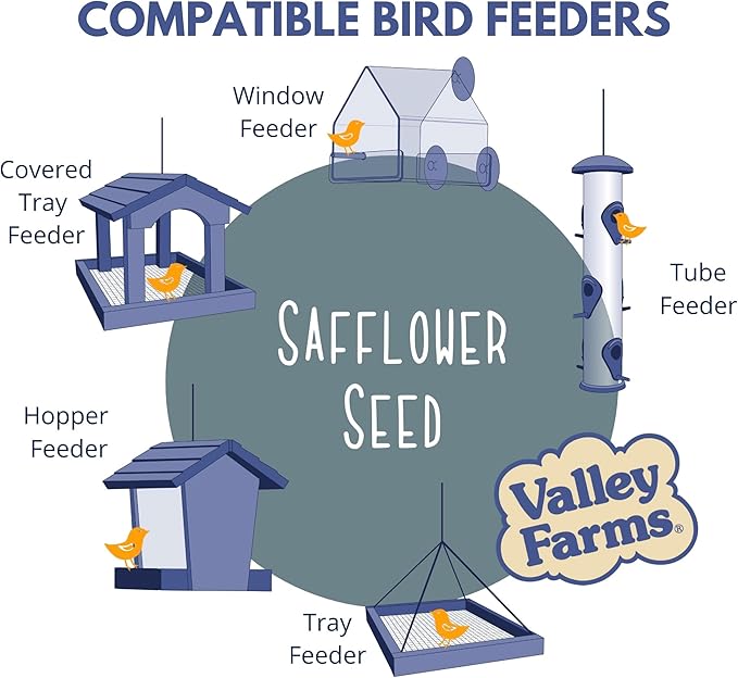 Valley Farms Safflower Seed Wild Bird Food 4 LB 2-Pack (8 LB Total) for Outside Feeders, Safflower Bird Seed for Cardinals, Grosbeaks, and Buntings, Cardinal Birdseed for Outside Feeders