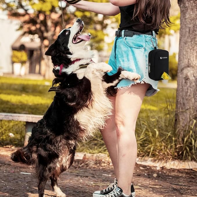 Dog Treat Pouch Dog Poop Bag Holder For Leashes, Pets Snack Container With Inner Mesh Bag, Puppy Supplies Perfect For Training And Walking - Hands Free Dog Waste Bag Dispenser -Dog Travel Accessories