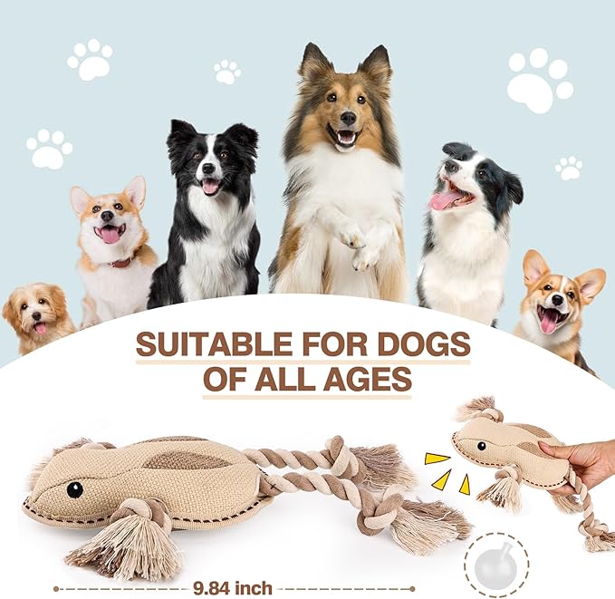 Tough Durable Squeaky Dog Toys for chewers Interactive to Keep Them Busy, Funny Tug of War Dogs Toy for Small Medium Large Cute Birthday Gift (Frog)