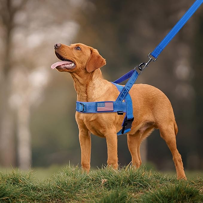 Annchwool No Pull Dog Harness with Padded Handle+5 Ft Leash,Reflective Strip Escape Proof and Quick Fit to Adjust Dog Harness,Easy for Training Walking for Small & Medium and Large Dogs(Blue-Set,L)