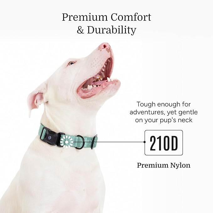 2025 New Edition, Fei & Eve MagEase Dog Collar - Patented Magnetic Buckles | Fur-Safe | Premium 210D Nylon | 450LB Escape-Proof | Adjustable Fit | Medium (Glacier Green)