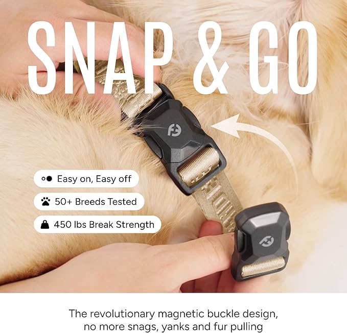 2025 New Edition, Fei & Eve MagEase Dog Collar - Patented Magnetic Buckles | Fur-Safe | Premium 210D Nylon | 450LB Escape-Proof | Adjustable Fit | Small (Champagne)