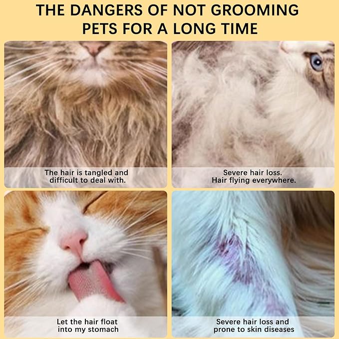 Indoor Cat Steam Brush, Rechargeable Self-Cleaning Four in One Anti-Static Steam Pet Brush, Used for Combing and Massaging Loose Fallen Pet Hair, Suitable for Long and Short Haired Dog Steam Brushes