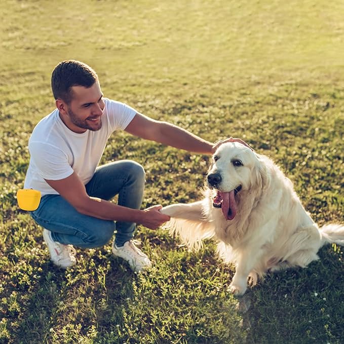 AUDWUD Silicone Dog Treat Pouch,Clip on Portable Training Container,Convenient Magnetic Buckle Closing and Waist Clip,No BPA