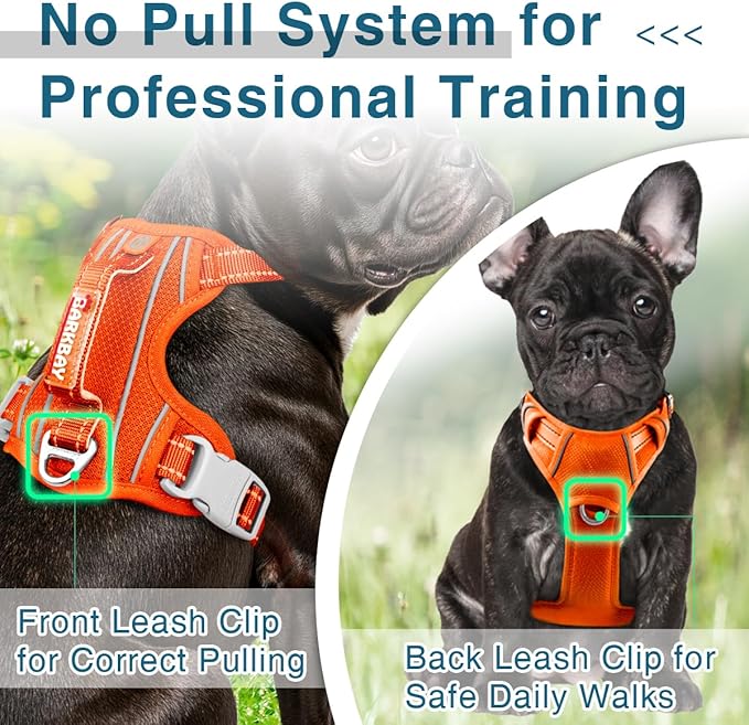 BARKBAY Dog Harness No Pull with ID Tag Pocket - Heavy Duty, Reflective, Easy Control for Large Dogs(Orange,XS)