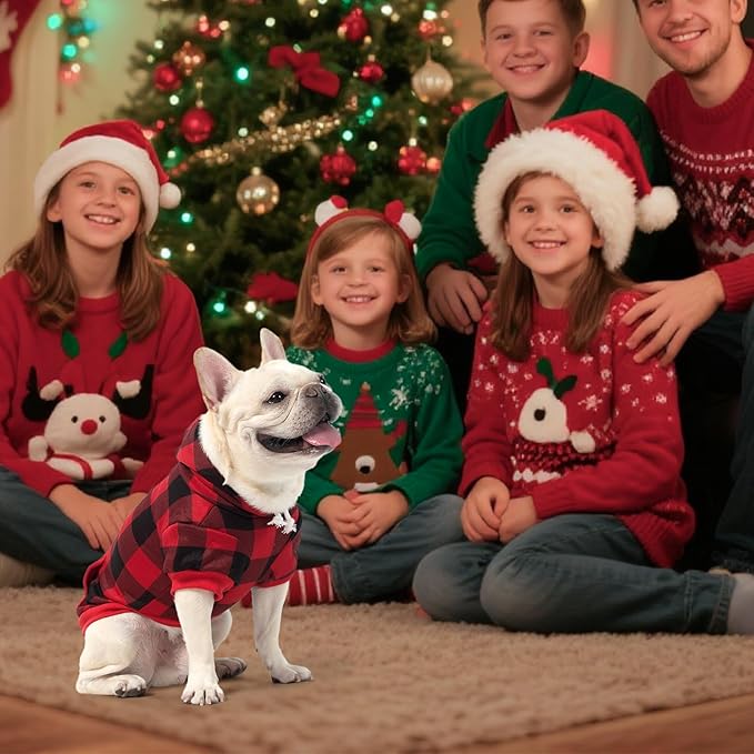 KOOLTAIL Plaid Cat Hoodie Pet Clothes Sweater with Hat and Pocket for Small Dogs Puppy Cats, Soft Winter Warm Dog Cold Weather Coat, Fleece Fall Dog Hooded Sweatshirt with Leash Hole, Christmas Red XS