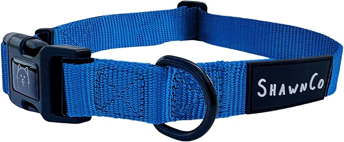 ShawnCo Dream Walk Dog Collar- Premium, Adjustable and Comfortable Pet Collar for Small, Medium, Large and Extra Large Dogs (Electric Blue,M)