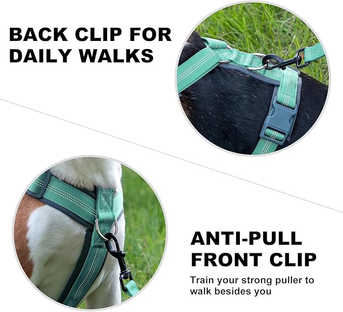 Plutus Pet No Pull Dog Harness, Adjustable Nylon Harness with Soft Padding, Reflective and Heavy Duty Dog Harness for Small, Medium, Large Dogs(Teal, S)